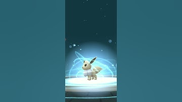Shiny Eevee Evolution Part 3 (Jolteon)