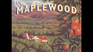 Maplewood - Think It Through