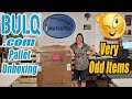 Bulq.com Pallet Unboxing - This is the Weirdest Pallet Ever - Some Strange Stuff! Online Re-selling