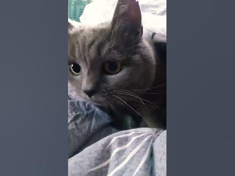 нє нє нє - YouTube