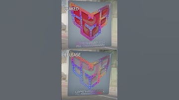 HEROIC PGL Copenhagen 2024 Leaked Sticker Comparison #csgo #heroic #counterstrike2 #cs2 #pglmajor