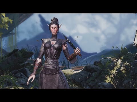 Divinity Original Sin 2 -  Giving Sebille back to her Master as a gift