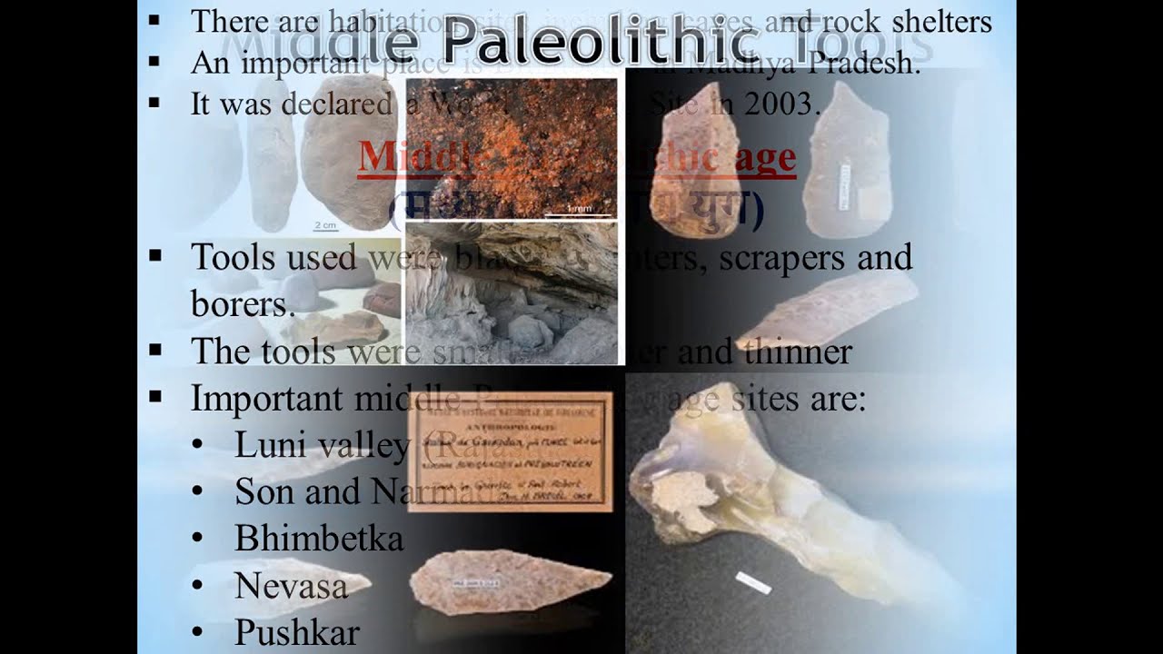 history-and-prehistory-the-origin-of-humans-and-human-societies