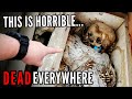 OPEN CASKETS HUMAN REMAINS FOUND AT TERRIFYING LOCATION WORST PLACE I EVER SEEN 