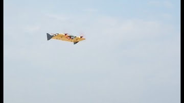 Design and development of Tailsitter VTOL.