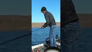 Early Season Smallmouth Fishing! Full Link below!! #bassfishing #smallmouthbass #jerkbaits