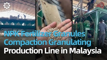 NPK fertilizer granulating production line in Malaysia-8 granulators +semi-automatic batching system