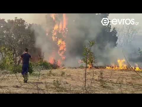 (18:10) Στο έλεος της πύρινης λαίλαπας η Λευκίμμη!