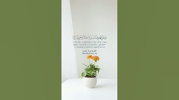 ﴿وَجَزاهُم بِما صَبَروا جَنَّةً وَحَريرًا﴾ | القارئ زياد محمد حامد