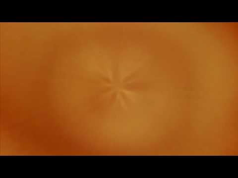 Raär She S Already Here 