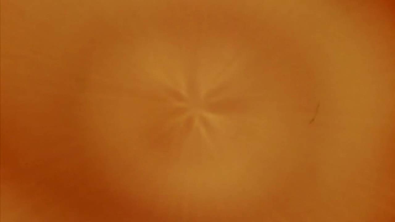 Raär - She's Already Here