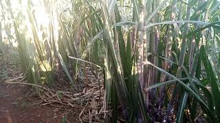 muraho ndagurishaiyinzu karenbure miriyonicumine12mpamagara 0781087088