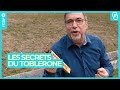 Toblerone : histoire, caractéristiques et secrets