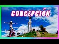 CONCEPCIÓN JUNÍN I TRAVELERAS