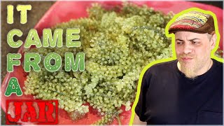Sea Grapes in a Jar