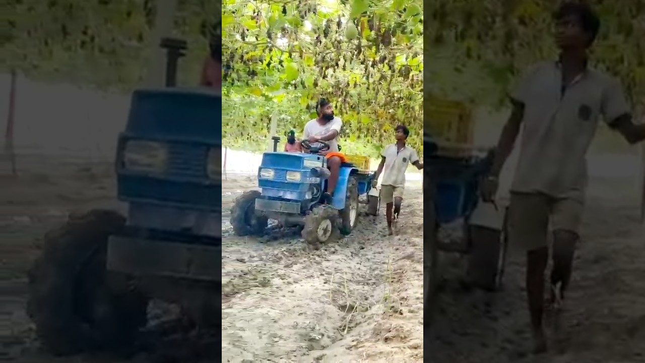 Small tractor 🚜 😌working in field