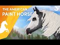 Paint Horse américain