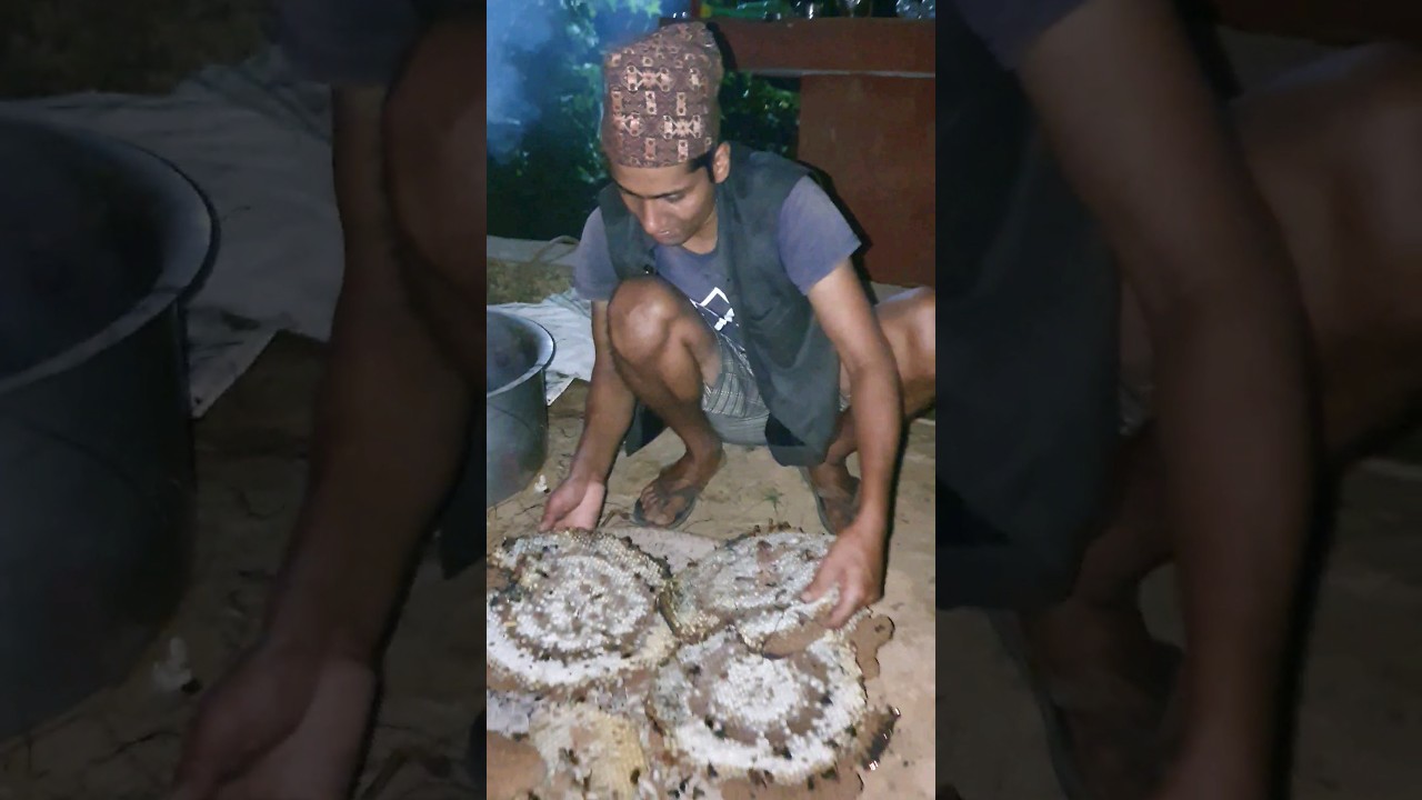 Hornet Recipe, Hornet Hunting Nepal, 