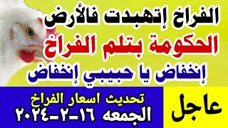 اسعار الفراخ اليوم// سعر الفراخ البيضاء اليوم// الجمعه ١٦-٢-٢٠٢٤ في مصر