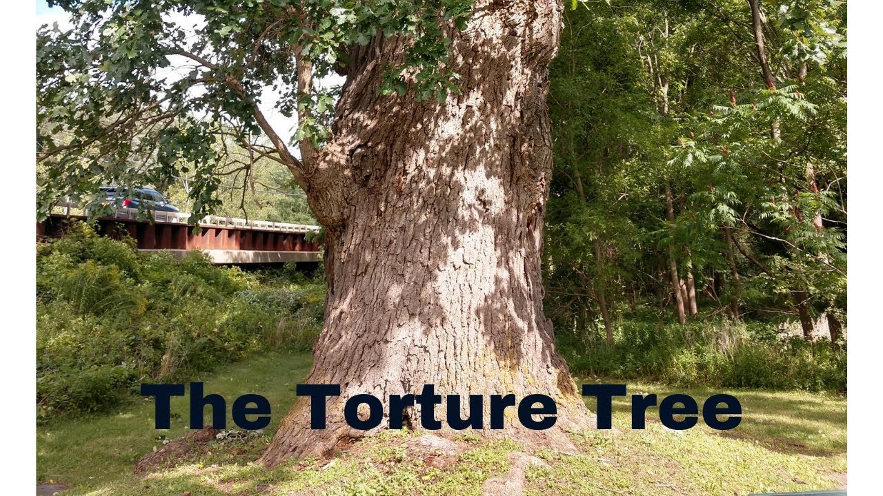 The Torture Tree