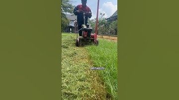 Cắt cỏ nhung nhật. Cắt cỏ sân vườn. Máy cắt cỏ nhung nhật. Máy cắt cỏ sân vườn. Máy cắt cỏ sân bóng