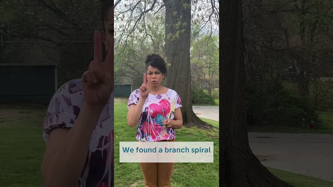 Water Dowsing | I found water!