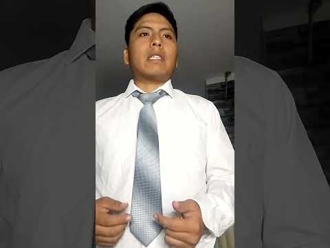 avance de portafolio 01
