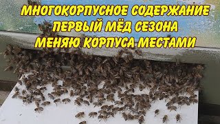 пчеловодство, многокорпусное содержание, меняю корпуса местами