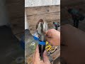 I Put a Spoon on a Squeegee and You Need to See This Incredible Idea! #DIY #HomeHacks #SmartDIY