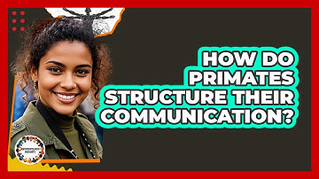How Do Primates Structure Their Communication? - Anthropology Insights