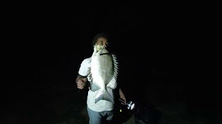 Night Fishing During Low Tide (Bala & Tara) (Catch, Clean, Cook)🐠🌑🇫🇯