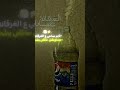 نايم صاحي علي الغرقاانة مجدي الزهار حلات واتساب حالات واتس اشتراك بالقناة ترند لايك نايم صاحي علي الغرقاانة مجدي الزهار حلات واتساب حالات واتس اشتراك بالقناة ترند لايك