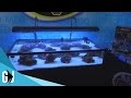 #383: Zoomed 50 Gallon Frag Tank - DIY Wednesday #383: Zoomed 50 Gallon Frag Tank - DIY Wednesday