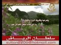 شيلة شريك الروح كلمات سلطان الهاجري آداء سعد اليامي 