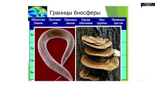 картинка: Биология - 9 класс - Биосфера