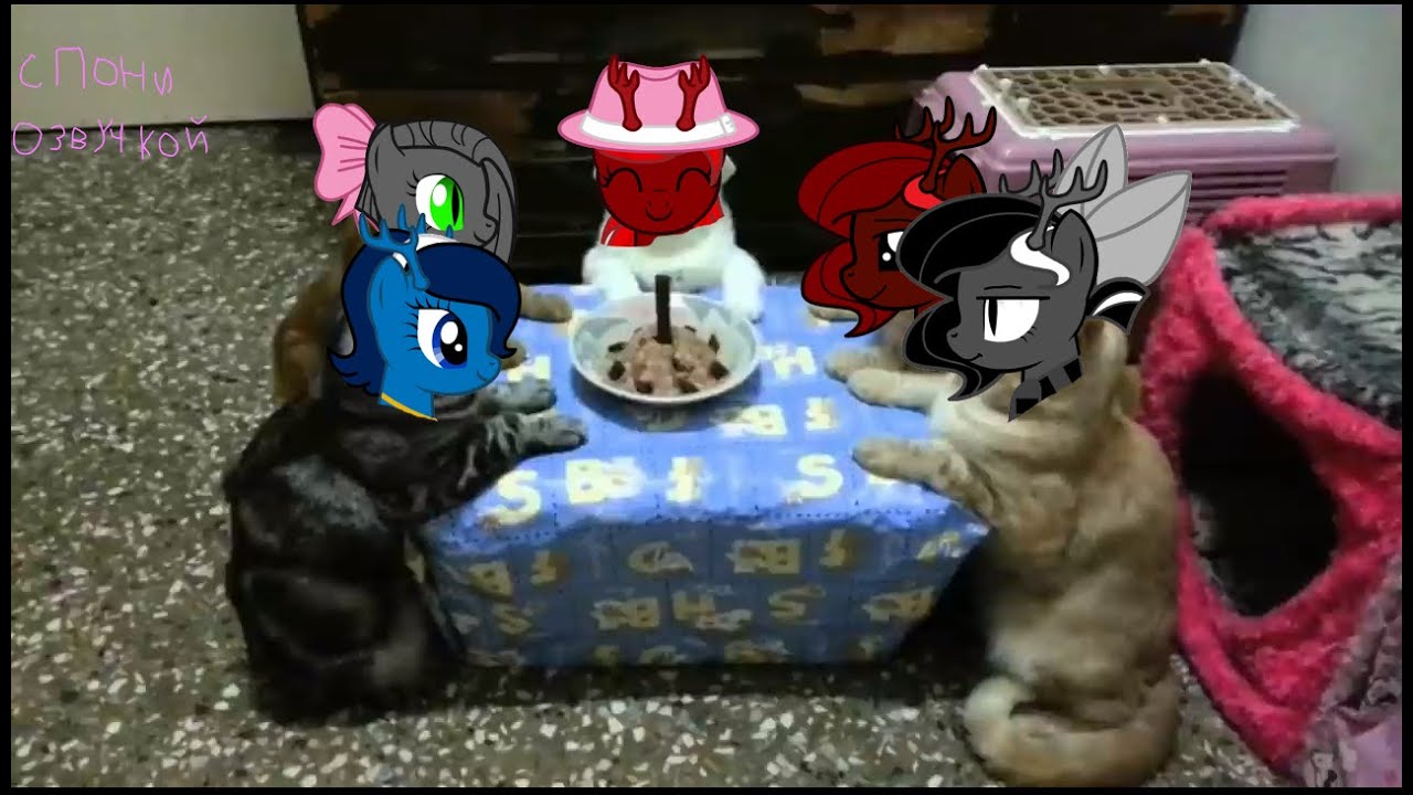 С ОЗВУЧКОЙ на русском – Угарный юмор от PSO