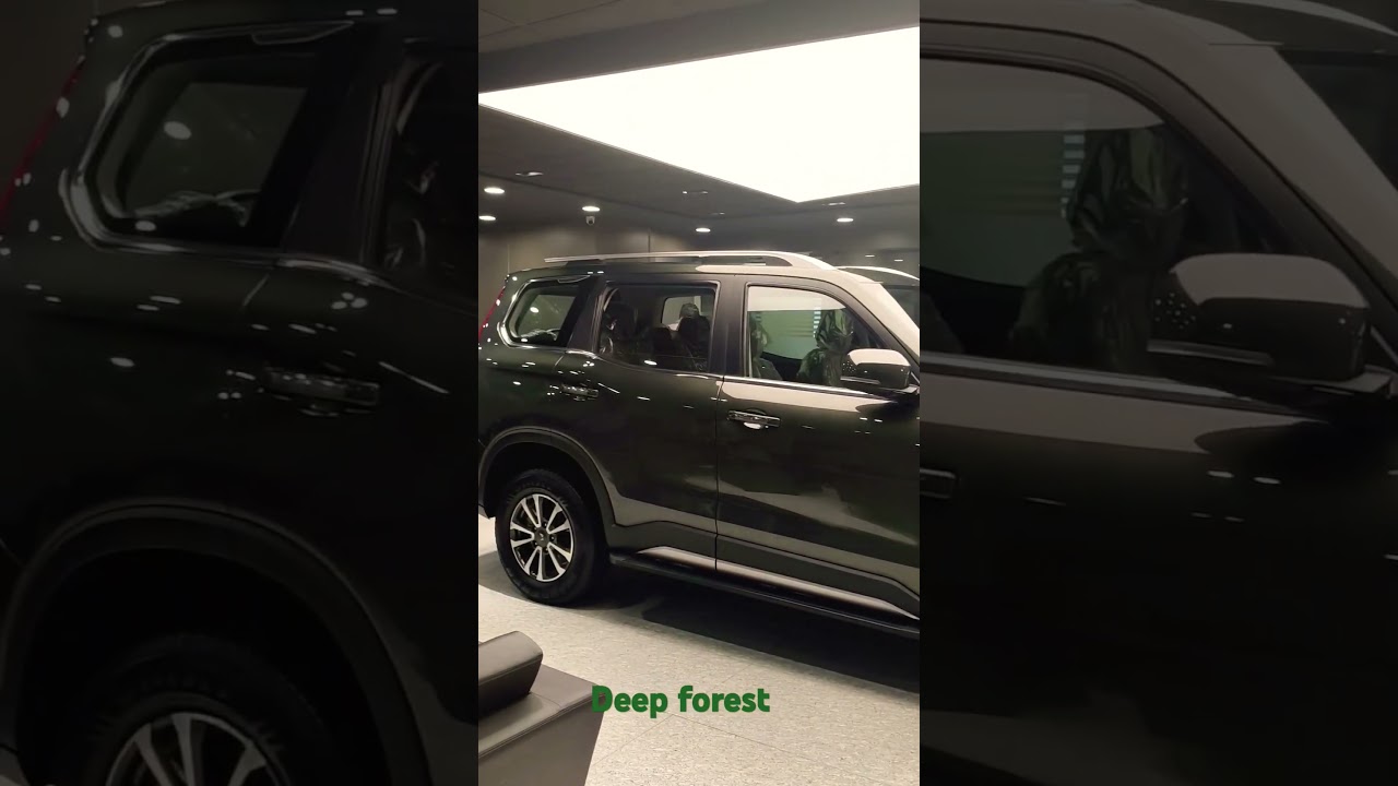 Scorpio n Z8 Deep Forest Colour 