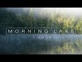 Calm Morning Lake - Calming Bird Sounds By The Lake (1 Hour Relaxation Video)