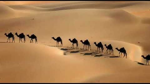 سورة الغاشية بصوت الشيخ محمود مبيض