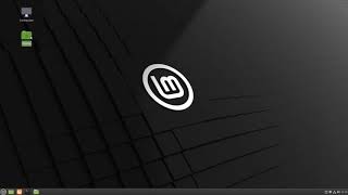 Linux Mint 20 | Basics of Using Your Computer