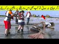 ساحل پر جل پری یا کچھ اور حیرت ناک ویڈیو Video That Will Keep You Amazed Till Last Second