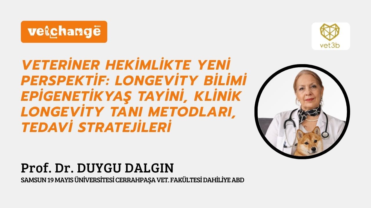 Prof. Dr. Duygu Dalgın'ın anlatımıyla “Veteriner Hekimlikle Yeni Perspektif: Longevity Bilimi