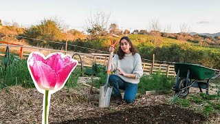 Cómo Sembrar Bulbos en la Huerta | Agricultura Regenerativa