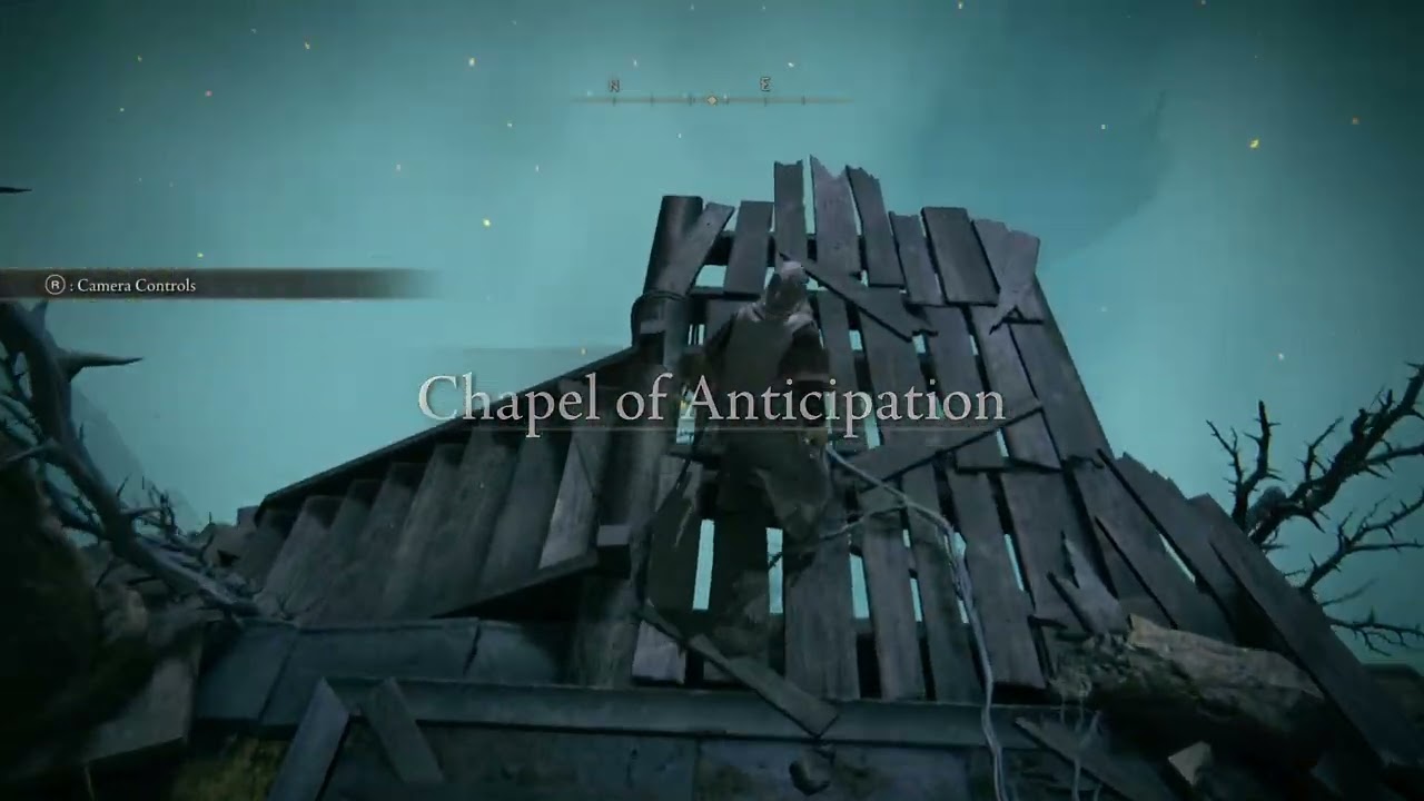 Elden Ring (Part 1) - Wandering