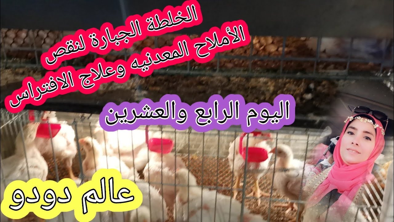 عمر ٢٤وازاي اعالج نقص الأملاح المعدنيه وعلاج الافتراس