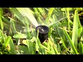Irrigation System Maintenance and Water Conservation