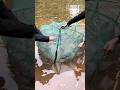 Fish line new technique #story #short #shortsfeed