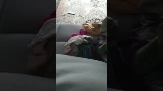 Samsung S7 Low Battery