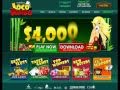 NEW USA Online Casinos Reviewed, Visa and MasterCard accepted!