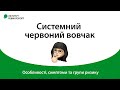 Системний червоний вовчак: особливості, симптоми та групи ризику